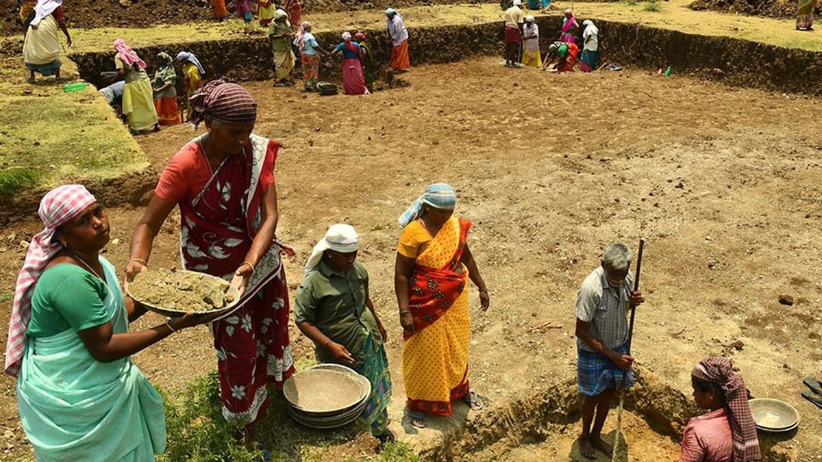 Rural Livelihoods - Theme in Charcha by the nudge institute