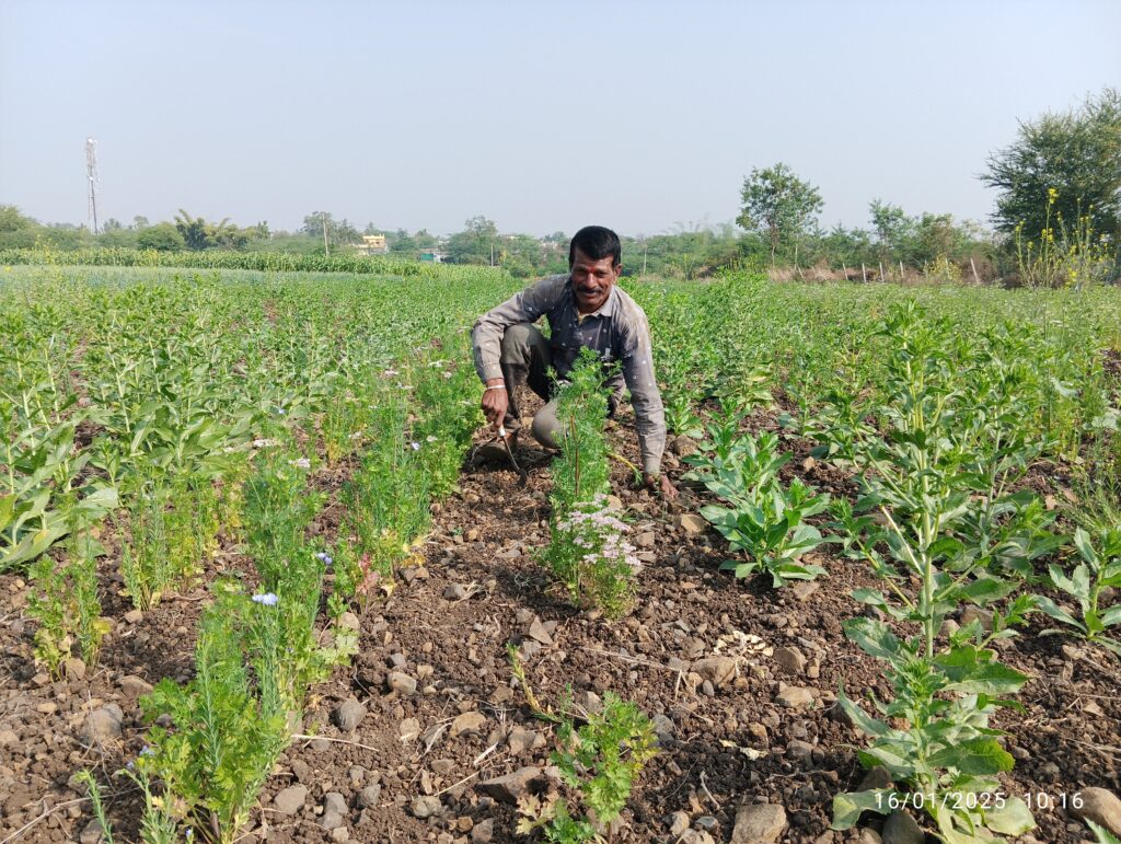 Refarm - a program at The/Nudge