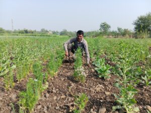 Refarm - a program at The/Nudge