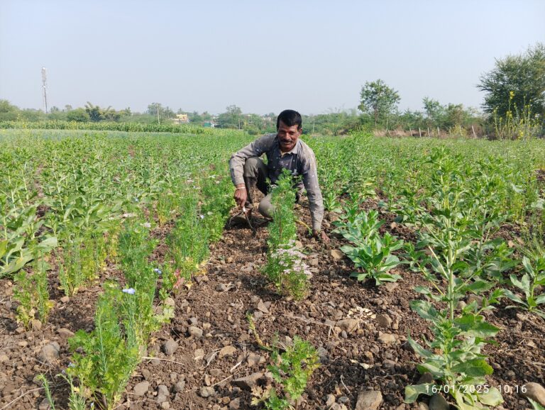 Refarm - a program at The/Nudge