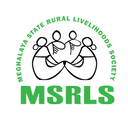Logo 10